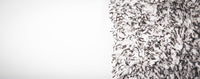 Adam's Microfiber Wash Mitt
